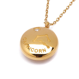 Naszyjnik Znak Zodiaku Koziorożec Stal Szlachetna