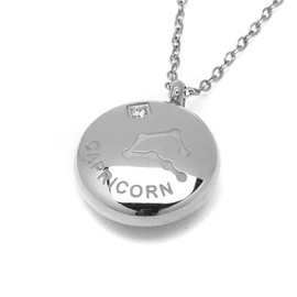 Naszyjnik Znak Zodiaku Koziorożec Stal Szlachetna